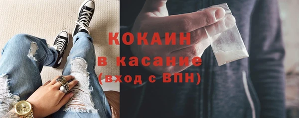 бошки Алексин