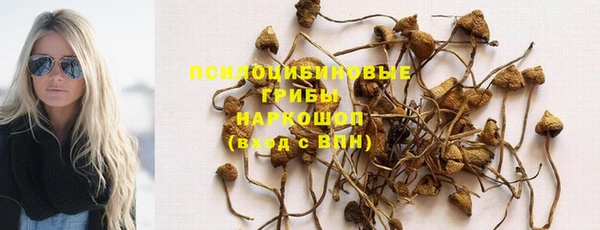 бошки Армянск